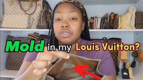 louis vuitton chocolate mold